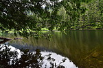 photo thumbnail #12