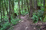 photo thumbnail #5