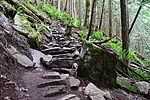 photo thumbnail #8