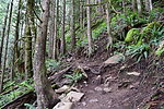 photo thumbnail #9