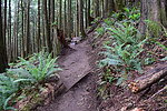 photo thumbnail #12