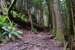 photo thumbnail #13