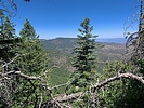 photo thumbnail #1
