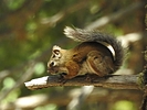 photo thumbnail #1