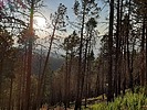 photo thumbnail #8
