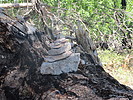 photo thumbnail #8