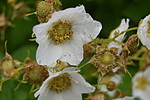photo thumbnail #12