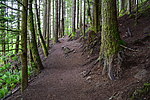 photo thumbnail #9