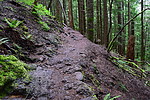 photo thumbnail #13