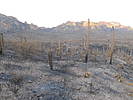 photo thumbnail #12