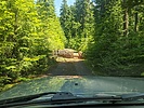 photo thumbnail #1