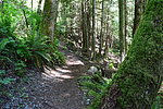 photo thumbnail #2