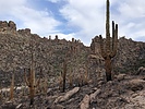 photo thumbnail #7