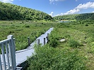 photo thumbnail #15