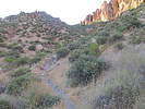 photo thumbnail #5