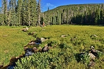 photo thumbnail #5