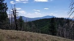 photo thumbnail #7