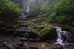 photo thumbnail #13