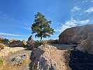 photo thumbnail #14