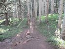 photo thumbnail #2