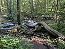 photo thumbnail #3
