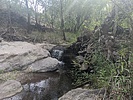 photo thumbnail #14