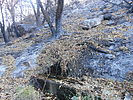 photo thumbnail #9