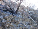 photo thumbnail #10