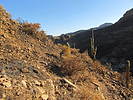 photo thumbnail #5