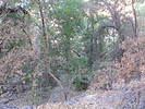 photo thumbnail #13