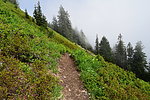 photo thumbnail #12