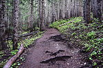 photo thumbnail #3