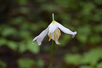 photo thumbnail #5