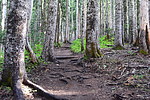 photo thumbnail #8