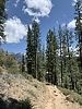 photo thumbnail #6