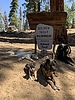 photo thumbnail #15