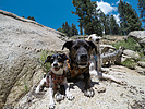 photo thumbnail #12