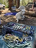photo thumbnail #2