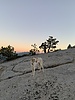 photo thumbnail #13