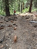 photo thumbnail #3