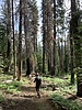 photo thumbnail #8