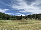 photo thumbnail #1