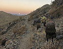 photo thumbnail #1