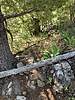 photo thumbnail #14