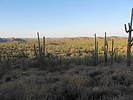 photo thumbnail #8