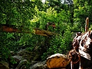 photo thumbnail #10