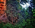 photo thumbnail #7