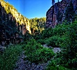photo thumbnail #13