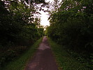 photo thumbnail #1
