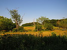 photo thumbnail #11